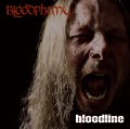 Bloodphemy, una nuova interessante realtà Death Metal dall'Olanda